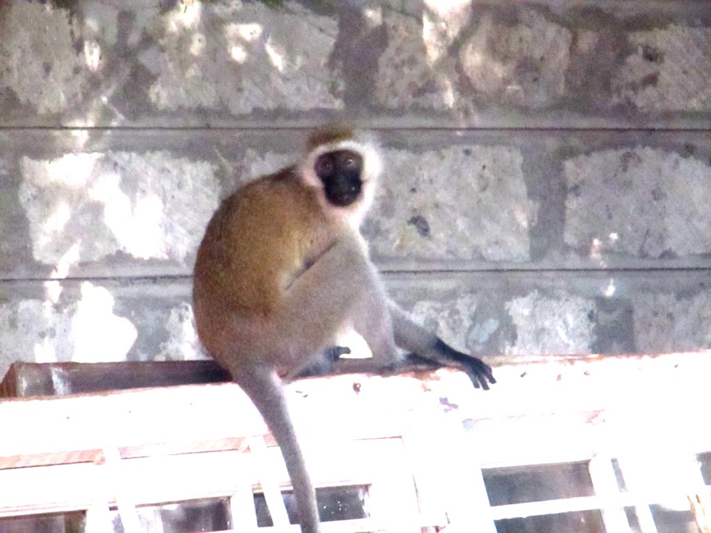 Interesting Neighbors