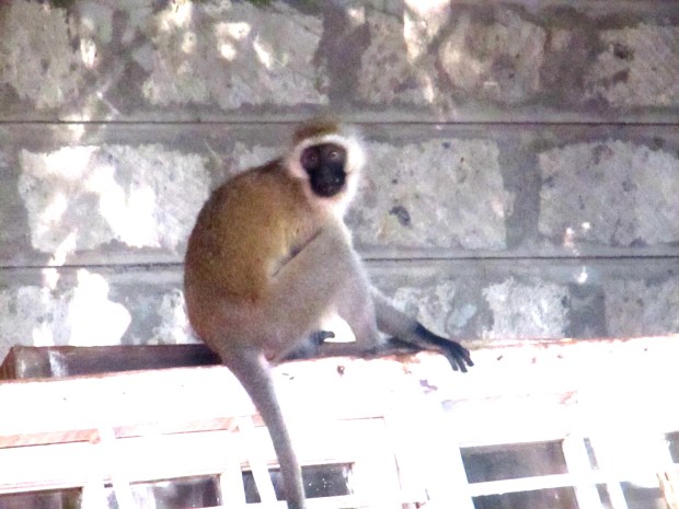 Interesting Neighbors